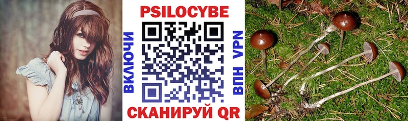 гидра сайт  Красновишерск  Галлюциногенные грибы Psilocybe 